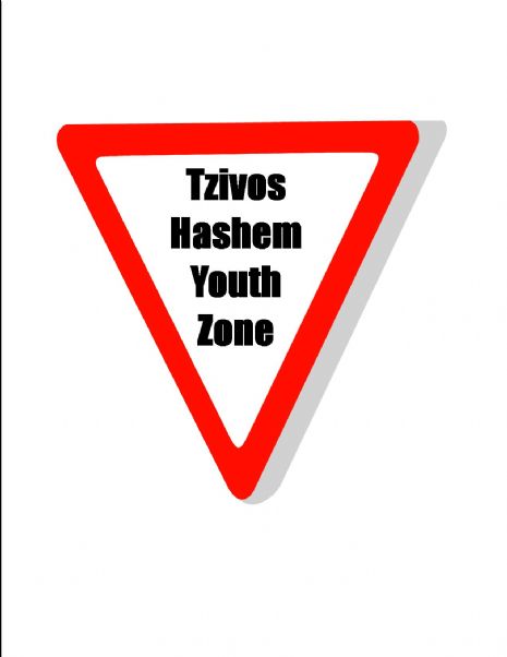youth zone logo.jpg